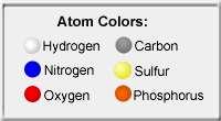 3D atom color conventions