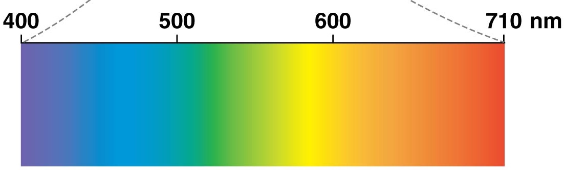 Visible spectrum in color
